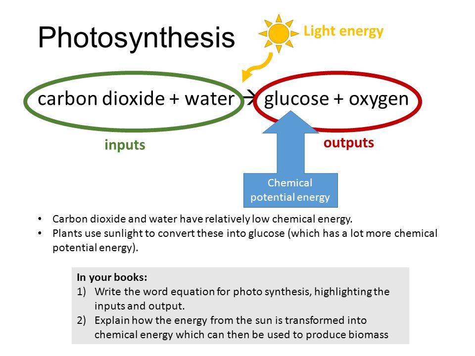 Dtse2007:Photosynthesis